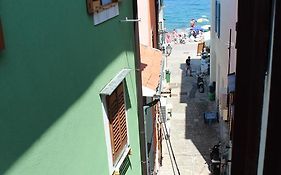 Terra Apartments